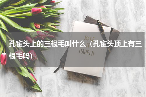 孔雀头上的三根毛叫什么（孔雀头顶上有三根毛吗）