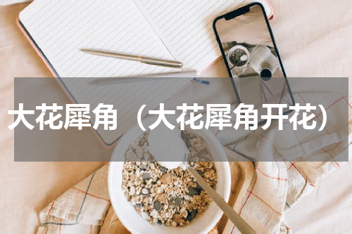大花犀角（大花犀角开花）
