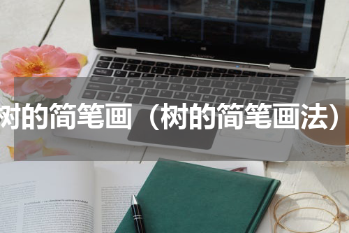 树的简笔画（树的简笔画法）