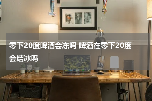 零下20度啤酒会冻吗 啤酒在零下20度会结冰吗