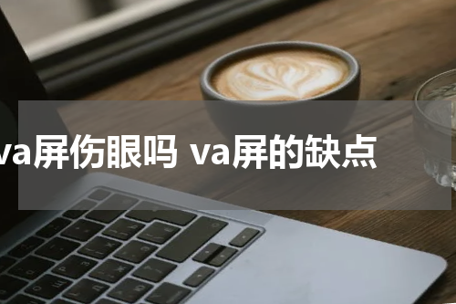 va屏伤眼吗 va屏的缺点