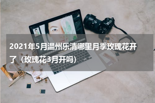 2021年5月温州乐清哪里月季玫瑰花开了（玫瑰花3月开吗）