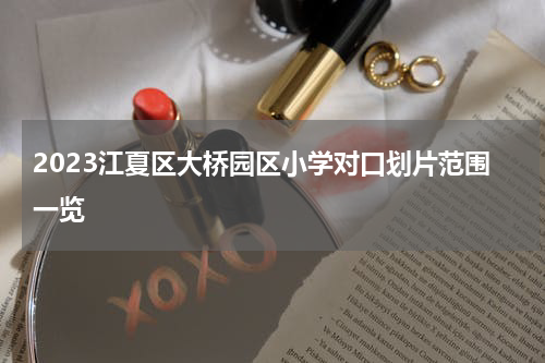 2023江夏区大桥园区小学对口划片范围一览