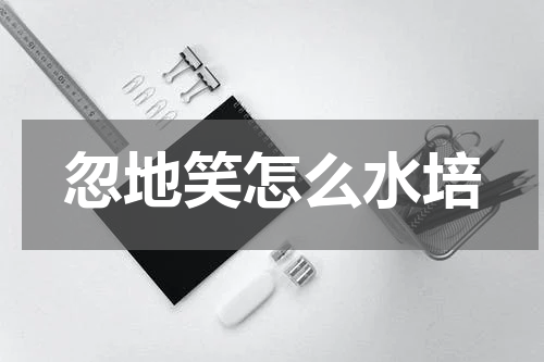 忽地笑怎么水培