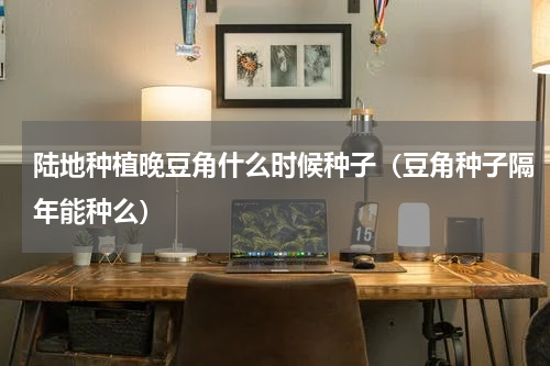 陆地种植晚豆角什么时候种子（豆角种子隔年能种么）