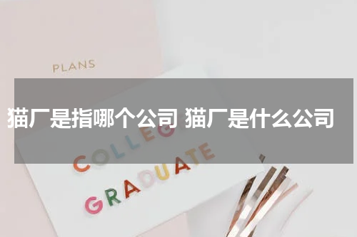 猫厂是指哪个公司 猫厂是什么公司
