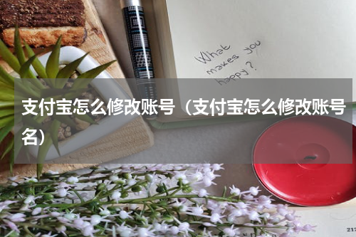 支付宝怎么修改账号（支付宝怎么修改账号名）
