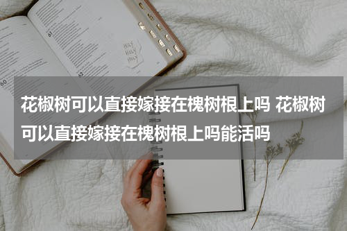 花椒树可以直接嫁接在槐树根上吗 花椒树可以直接嫁接在槐树根上吗能活吗