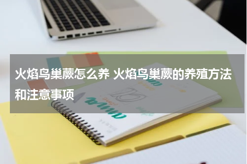 火焰鸟巢蕨怎么养 火焰鸟巢蕨的养殖方法和注意事项