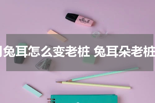 月兔耳怎么变老桩 兔耳朵老桩