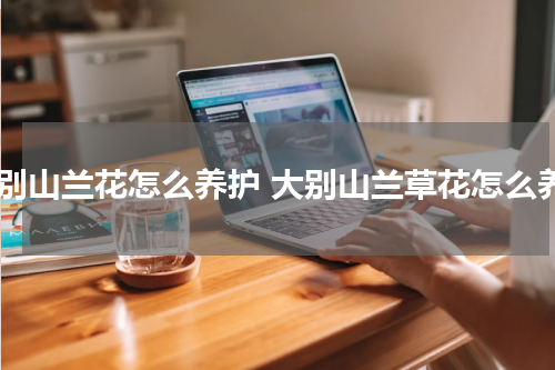 大别山兰花怎么养护 大别山兰草花怎么养
