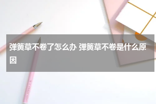 弹簧草不卷了怎么办 弹簧草不卷是什么原因
