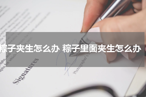 粽子夹生怎么办 粽子里面夹生怎么办