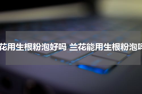 兰花用生根粉泡好吗 兰花能用生根粉泡吗