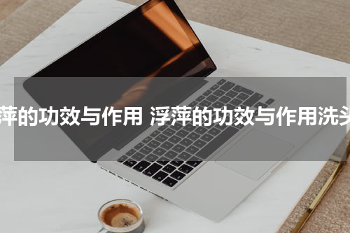 浮萍的功效与作用 浮萍的功效与作用洗头
