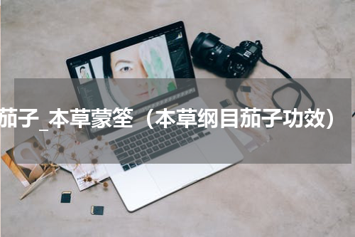 茄子_本草蒙筌（本草纲目茄子功效）