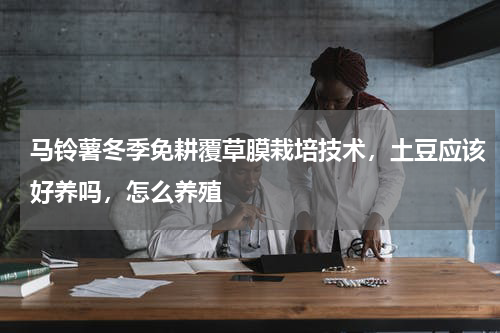 马铃薯冬季免耕覆草膜栽培技术，土豆应该好养吗，怎么养殖