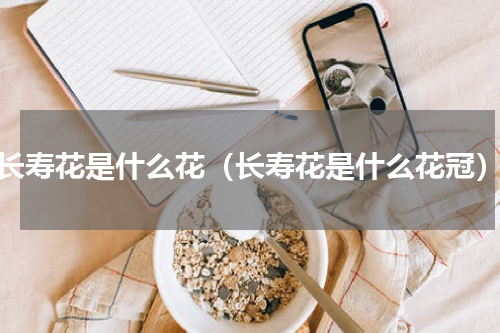 长寿花是什么花（长寿花是什么花冠）
