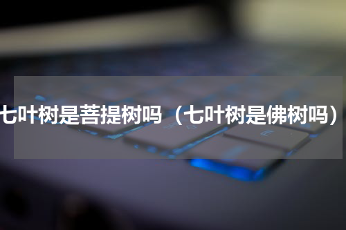七叶树是菩提树吗（七叶树是佛树吗）