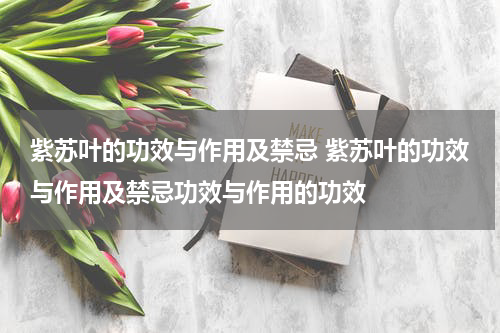 紫苏叶的功效与作用及禁忌 紫苏叶的功效与作用及禁忌功效与作用的功效