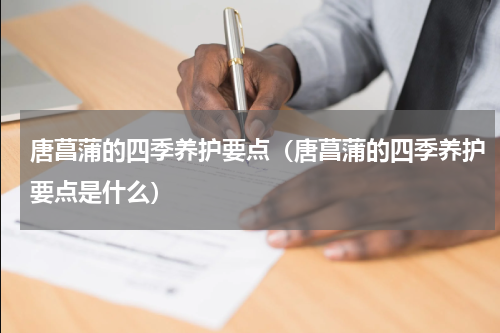唐菖蒲的四季养护要点（唐菖蒲的四季养护要点是什么）