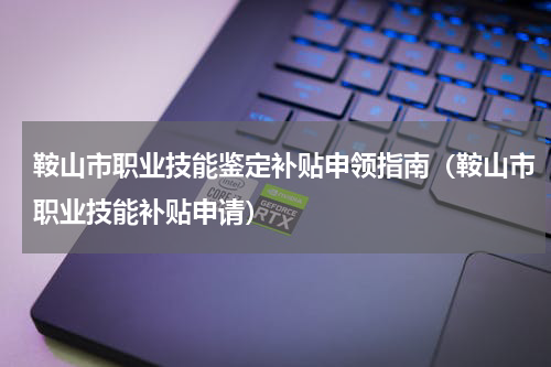 鞍山市职业技能鉴定补贴申领指南（鞍山市职业技能补贴申请）