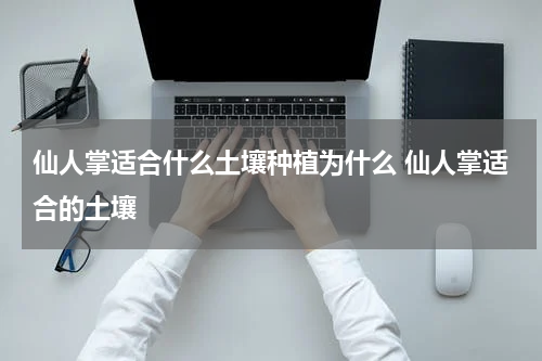仙人掌适合什么土壤种植为什么 仙人掌适合的土壤
