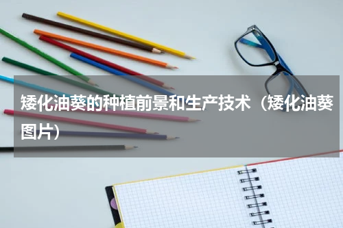 矮化油葵的种植前景和生产技术（矮化油葵图片）