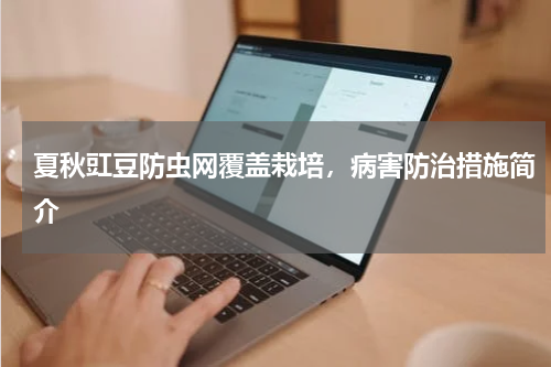夏秋豇豆防虫网覆盖栽培，病害防治措施简介