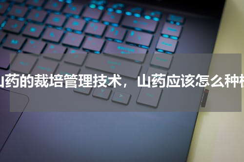 山药的裁培管理技术，山药应该怎么种植
