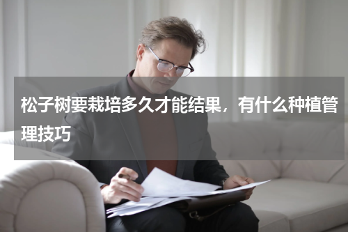 松子树要栽培多久才能结果，有什么种植管理技巧