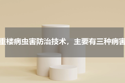 重楼病虫害防治技术，主要有三种病害
