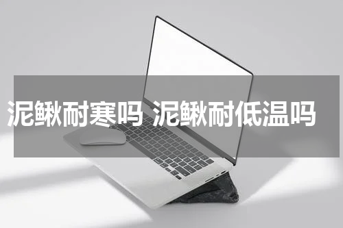 泥鳅耐寒吗 泥鳅耐低温吗