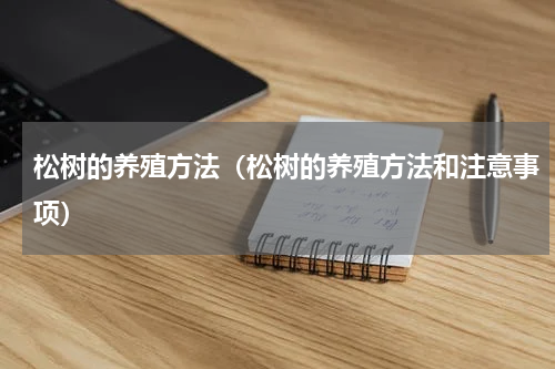 松树的养殖方法（松树的养殖方法和注意事项）