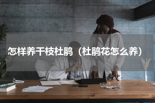 怎样养干枝杜鹃（杜鹃花怎么养）