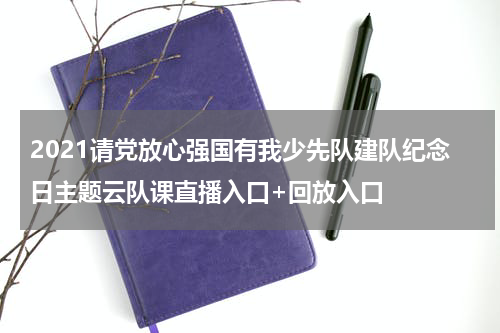2021请党放心强国有我少先队建队纪念日主题云队课直播入口+回放入口
