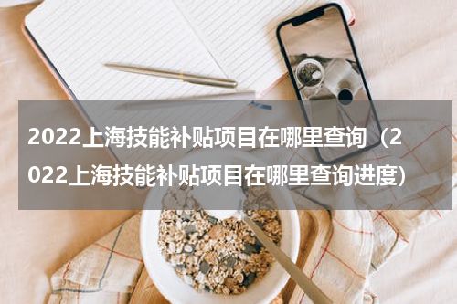2022上海技能补贴项目在哪里查询（2022上海技能补贴项目在哪里查询进度）