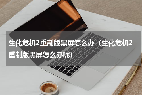 生化危机2重制版黑屏怎么办（生化危机2重制版黑屏怎么办呢）