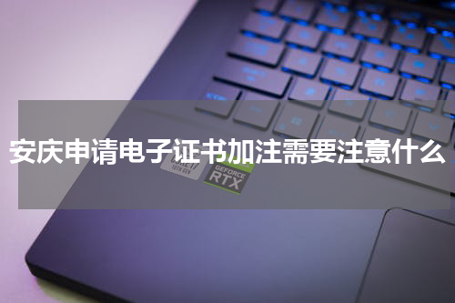 安庆申请电子证书加注需要注意什么