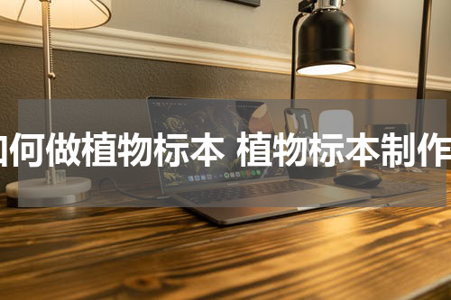 如何做植物标本 植物标本制作