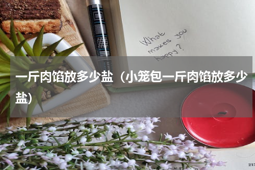 一斤肉馅放多少盐（小笼包一斤肉馅放多少盐）