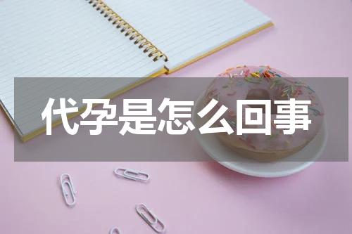 代孕是怎么回事