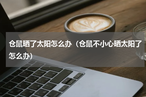 仓鼠晒了太阳怎么办（仓鼠不小心晒太阳了怎么办）