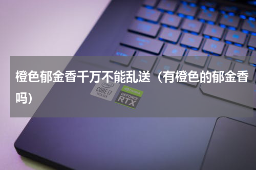 橙色郁金香千万不能乱送（有橙色的郁金香吗）