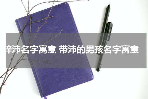梓沛名字寓意 带沛的男孩名字寓意