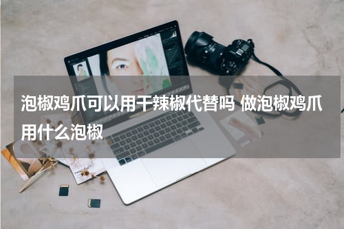 泡椒鸡爪可以用干辣椒代替吗 做泡椒鸡爪用什么泡椒