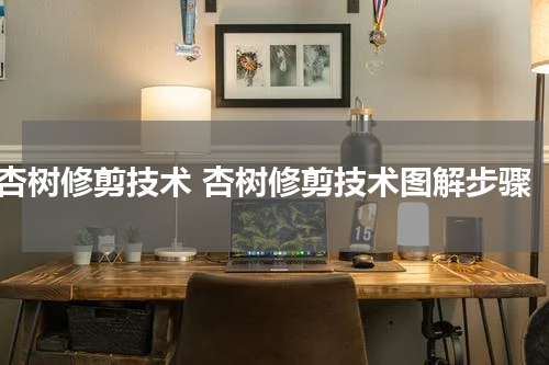 杏树修剪技术 杏树修剪技术图解步骤