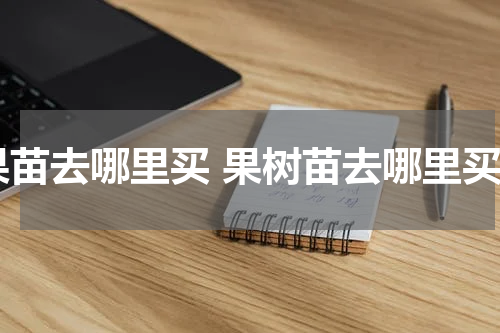 果苗去哪里买 果树苗去哪里买