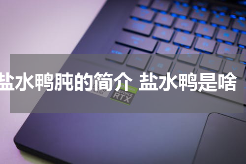 盐水鸭肫的简介 盐水鸭是啥