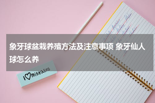 象牙球盆栽养殖方法及注意事项 象牙仙人球怎么养